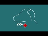 What is Canine First Aid?