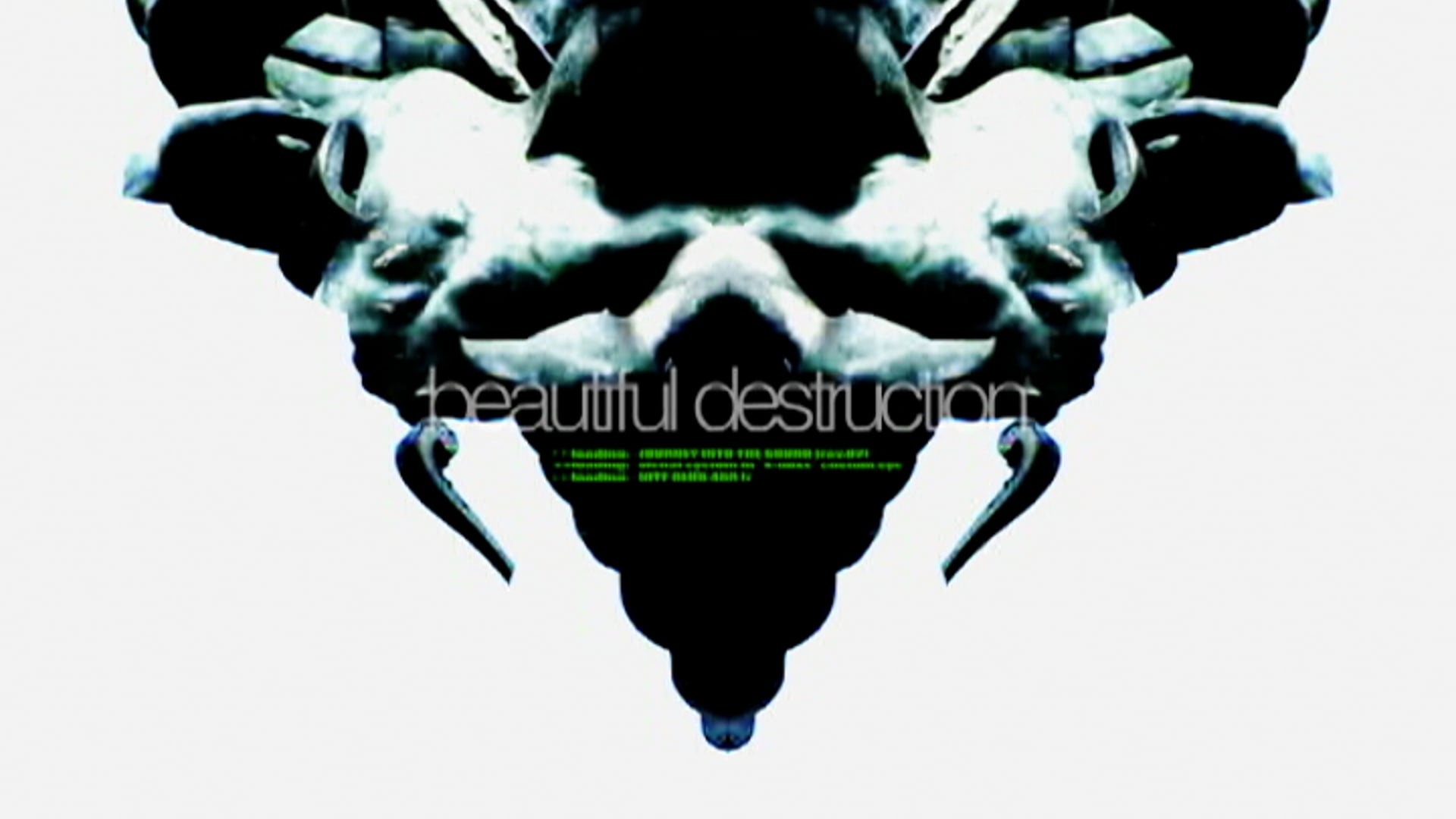 beautiful destruction