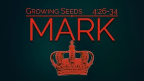 Growing Seeds