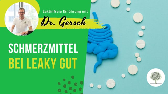 Leaky Gut - Welche Schmerzmittel sind z.B. bei Kopfschmerzen die bessere Wahl als Ibuprofen? 