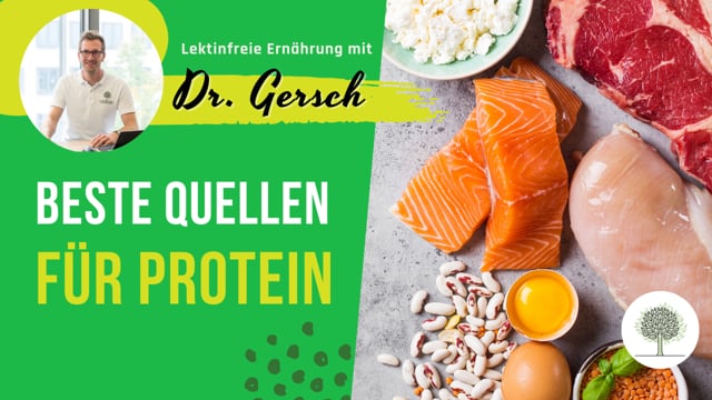 Ich habe Probleme auf genug Protein pro Mahlzeit zu kommen - was sind lektinfreie und günstige Optionen für ausreichend Eiweiß?