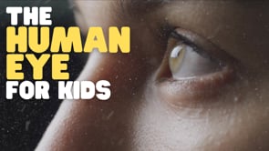 Vimeo Thumbnail