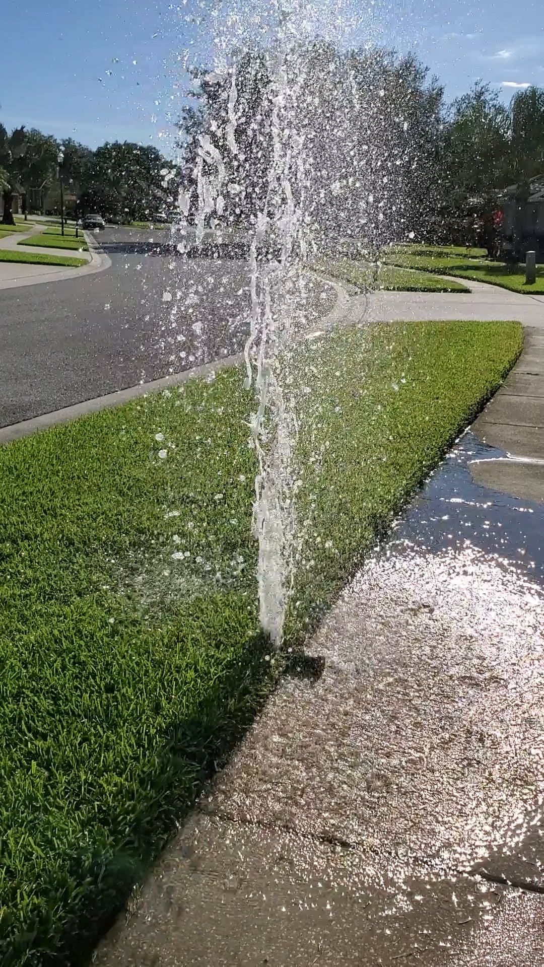 Lawn Sprinkler Irrigation System Repair Riverview Valrico Brandon