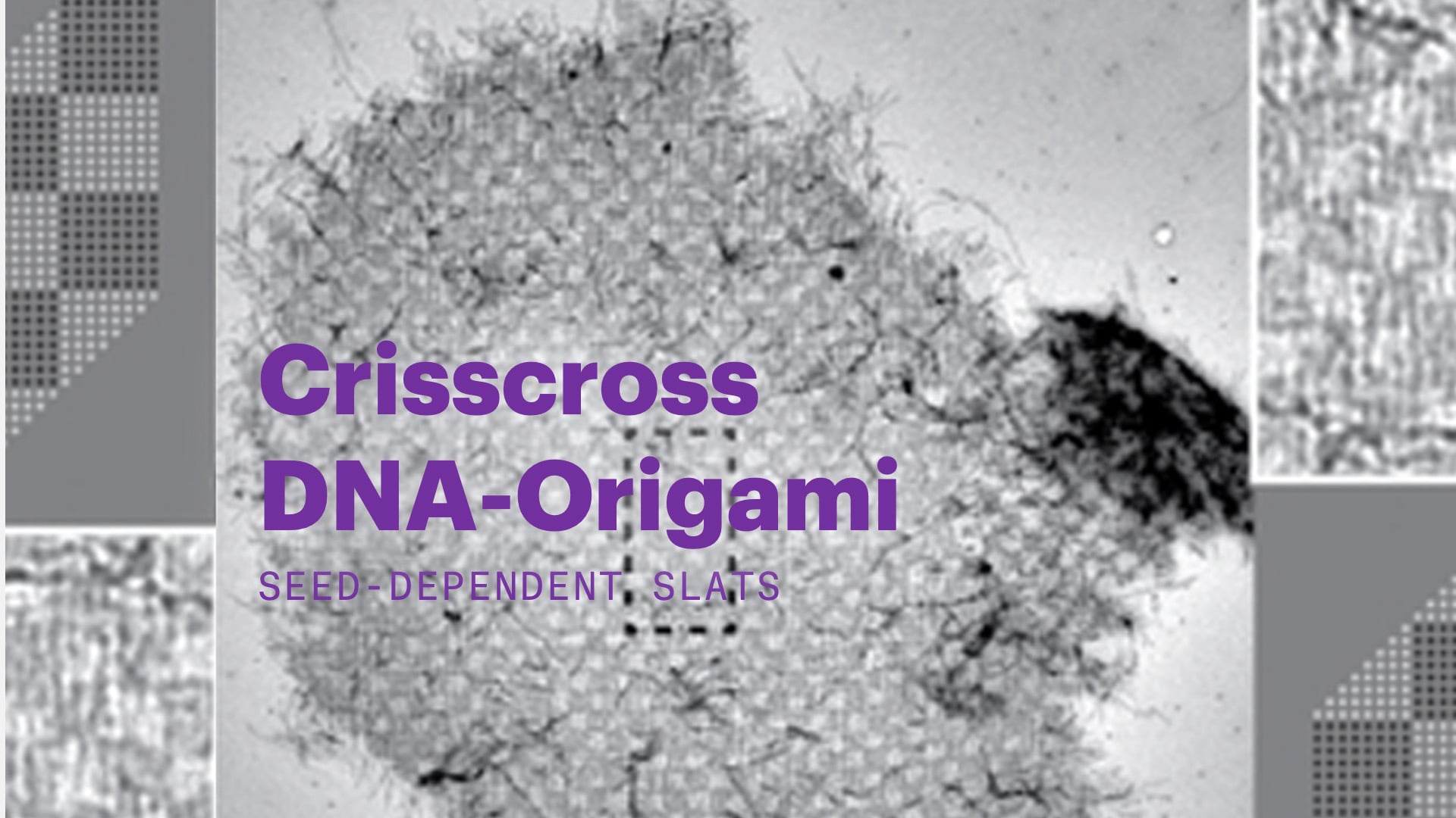 Listones de origami de ADN entrecruzado dependiente de la semilla.mp4