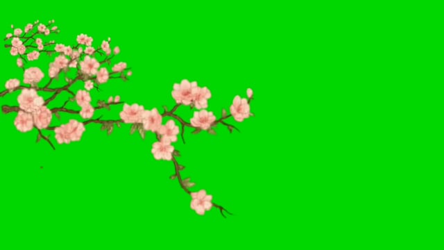 Green Screen Green Flower Effects Free Stock Video Pixabay Green Screen Green Flower Effects Free Stock Video Pixabay