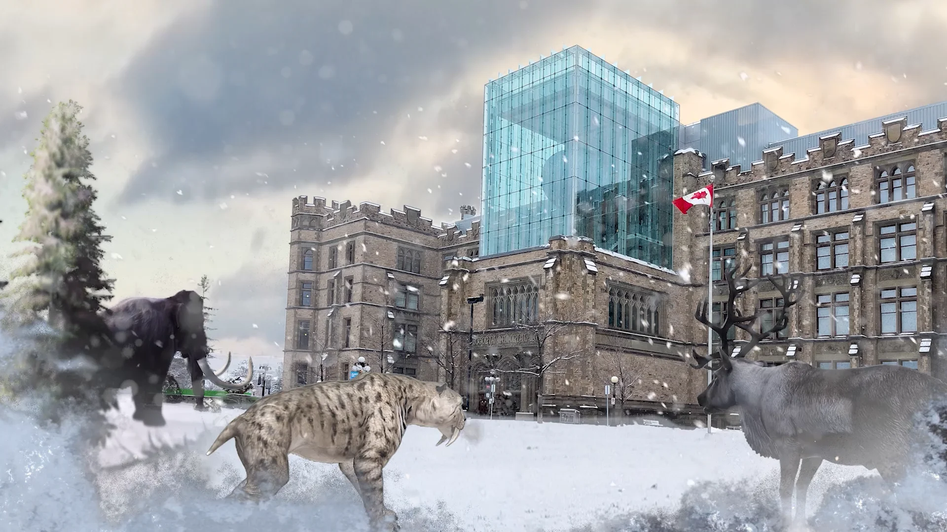 Happy Holidays from the Canadian Museum of Nature on Vimeo