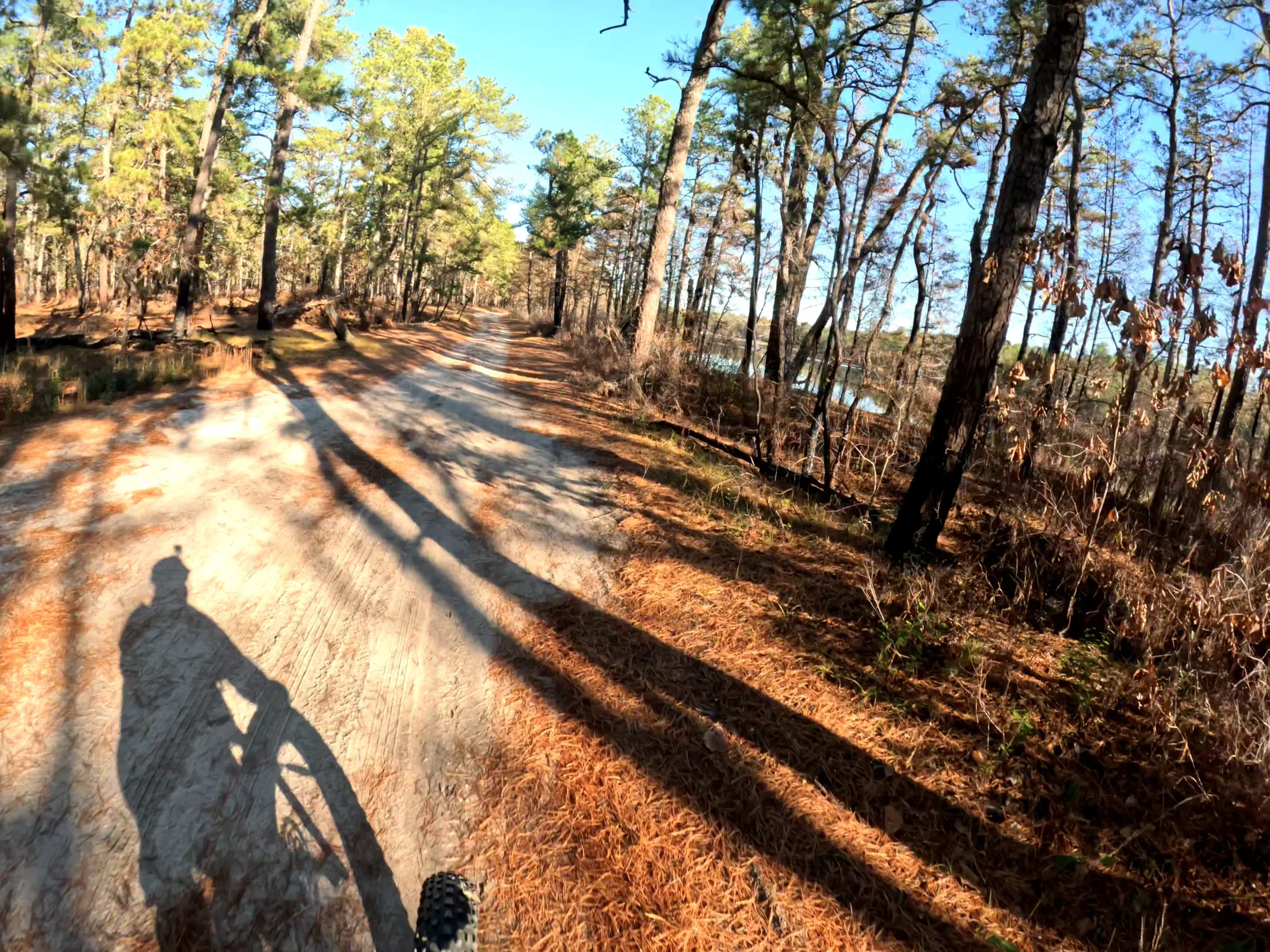 Batsto Bike Ride on Vimeo