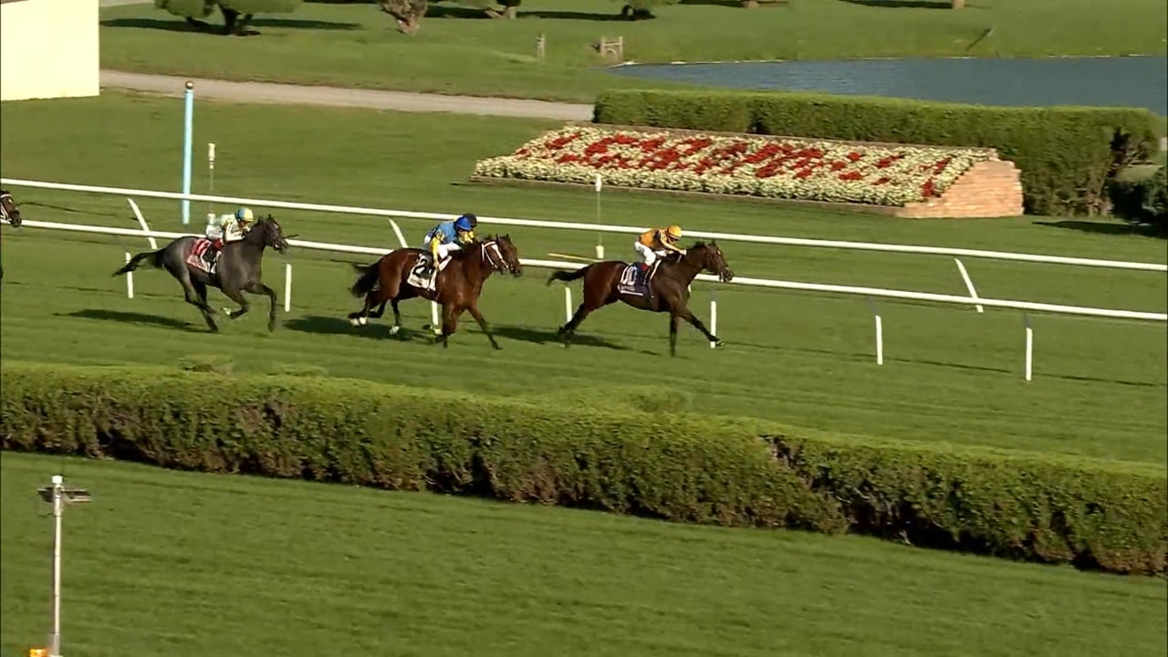Boppy O | 2022 With Anticipation S. (G3) at Saratoga