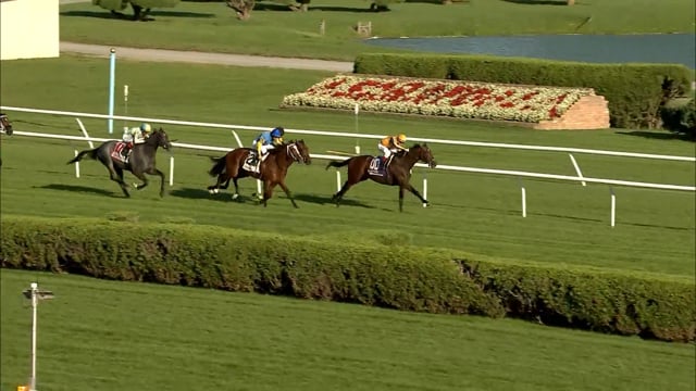 Boppy O | 2022 With Anticipation S. (G3) at Saratoga