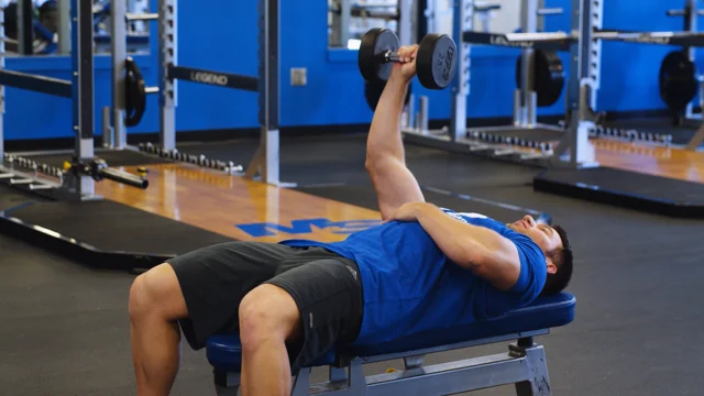 Dumbbell Bench Press: Video Exercise Guide & Tips