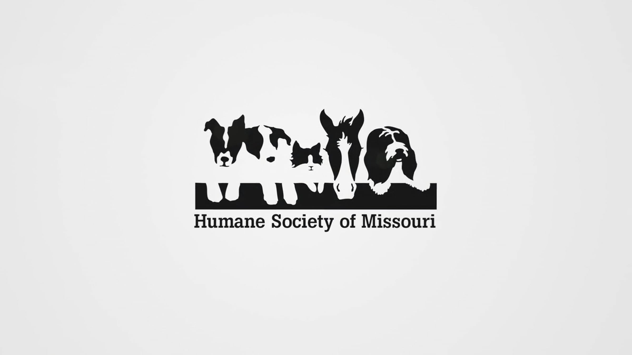 HSMO Introduction | Videos & Movies on Vimeo