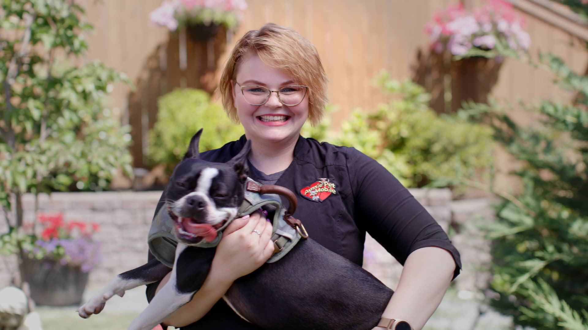 an Aussie Pet Mobile Groomer on Vimeo