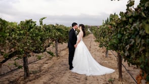 The Wedding of Max & Noelle | South Coast Winery, Temecula