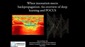 When insonation meets backpropagation: An overview of deep learning and POCUS