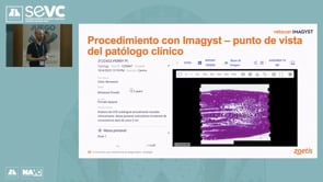 Casos clínicos mediante el diagnóstico citológico con Vetscan Imagyst desde la perspectiva del patólogo clínico