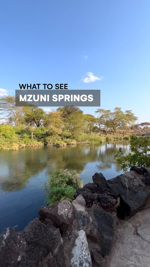 Mzuni Springs
