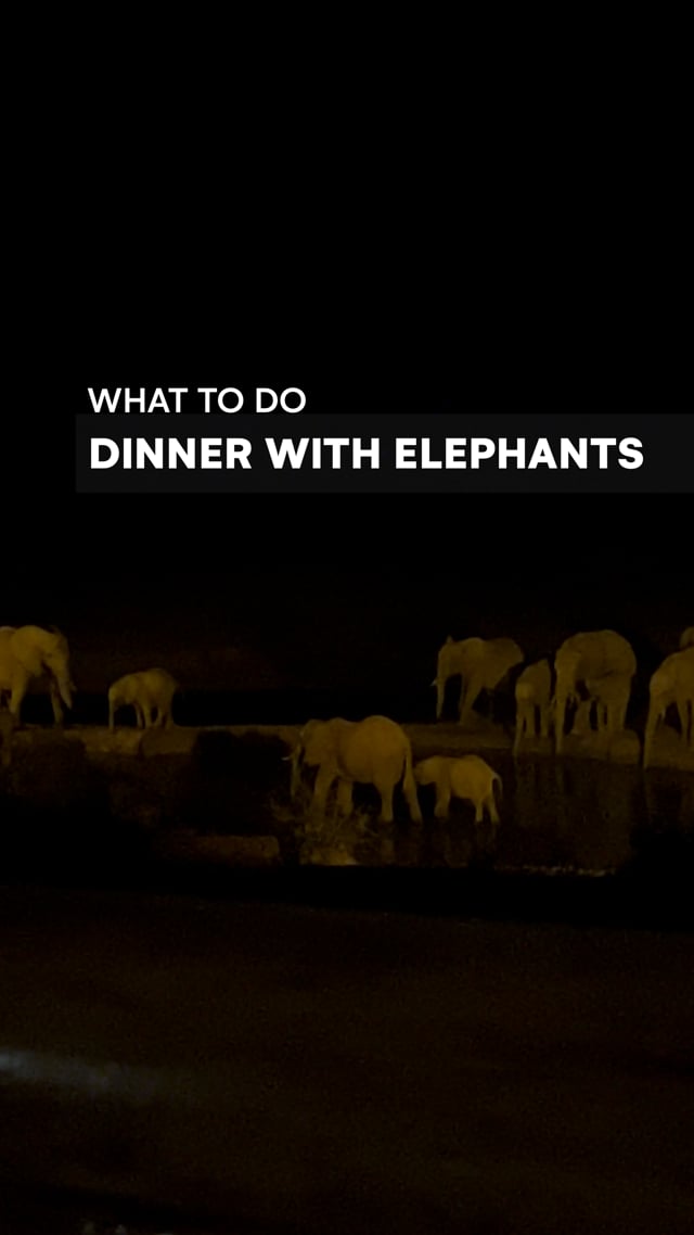 Dinner with Kilaguna elephants