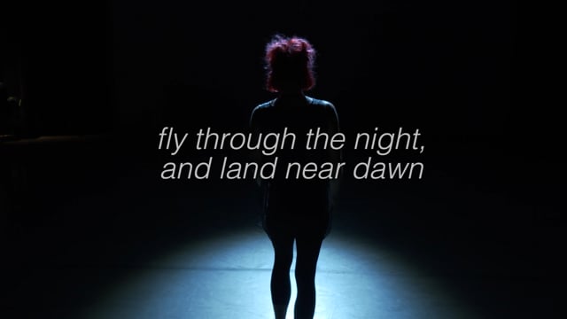 fly through the night, and land near dawn