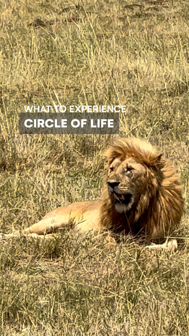 Circle of Life