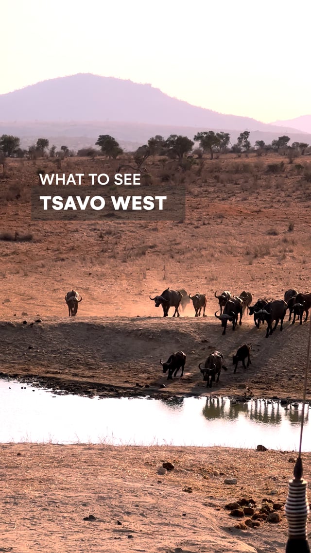 Tsavo West