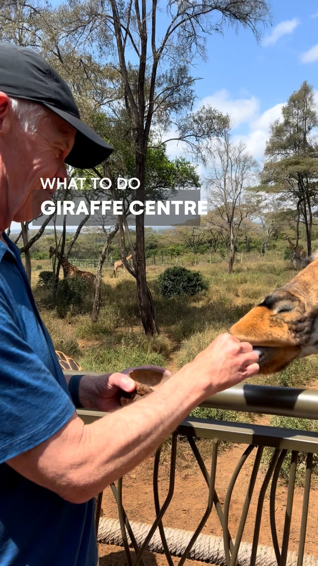 Giraffe Centre