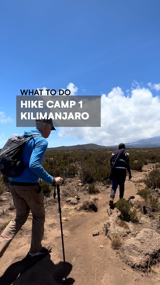 Mt Kilimanjaro Hike