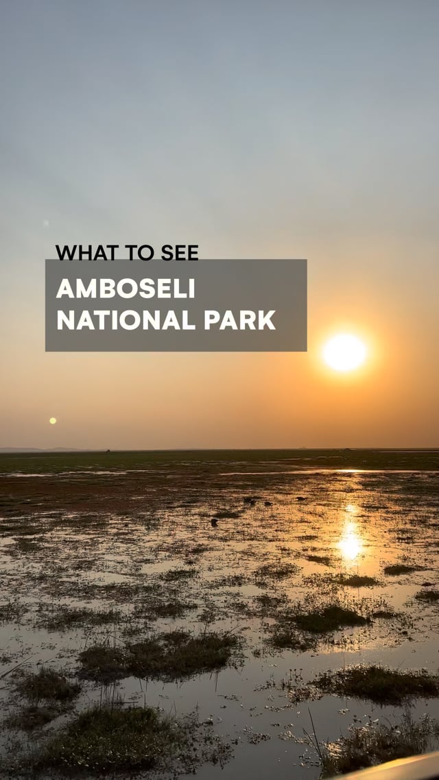 Amboseli Park