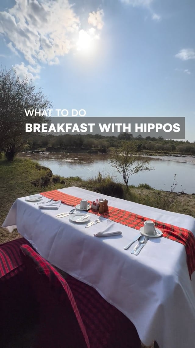 Breakfast with Hippos