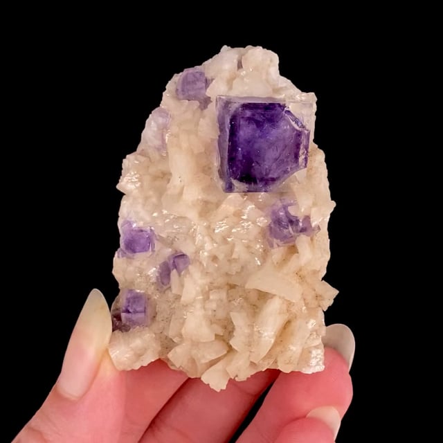 Fluorite (bi-colored crystals) on Dolomite