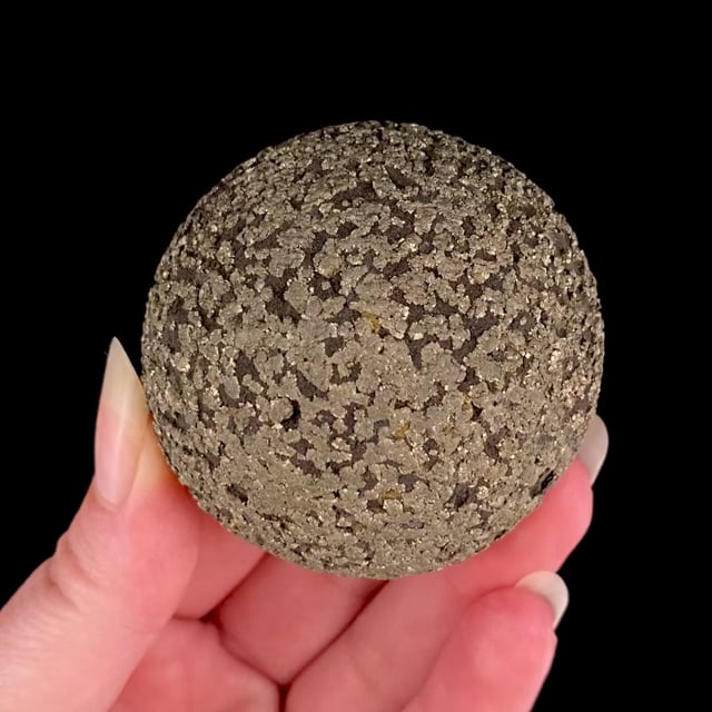 Pyrite Concretion