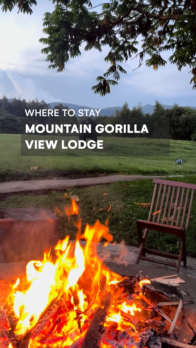 Where to Stay in Rwanda - Mountain Gorilla View Lodge