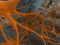 Suppression Of Amyloid-Beta Accumulation in Brain