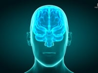 What Is Brain Fatigue? Substance Essential To