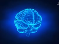 DHA-Rich Plasmalogen