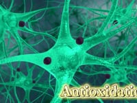 Antioxidant Action of Plasmalogen