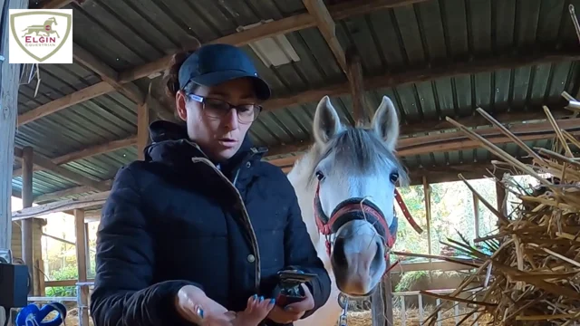 Tondeuse à cheval robuste et légère avec lames compatibles Lister