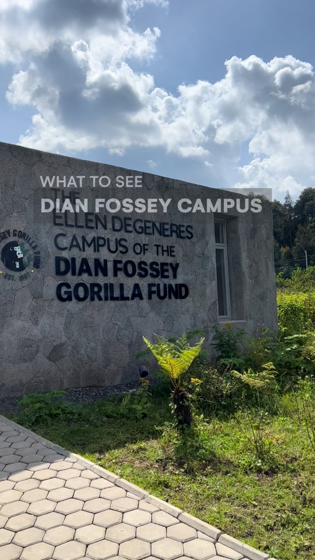 Dian Fossey Centre by Ellen Degeneres