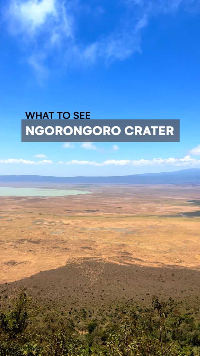 Ngorongoro Crater
