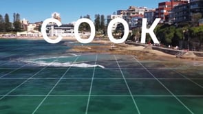COOK, ABC Australia Votes 2022 - Ray Ingrey