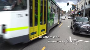 HAWTHORN, ABC Victoria Votes 2022 - Mandy Nicholson
