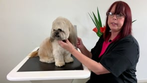 microbite sue ocky.mp4