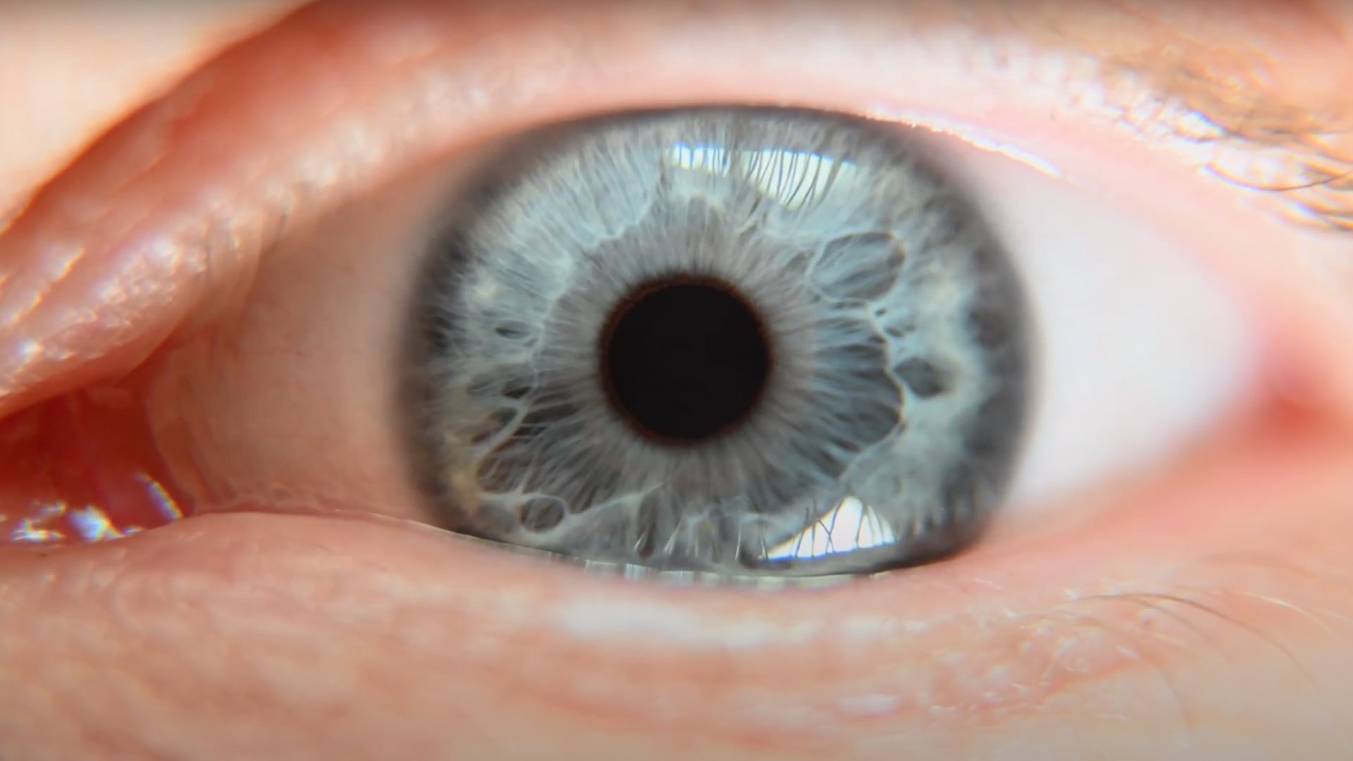 Natur 360 Portable home