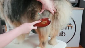 Related Embedded Video Item Thumbnail