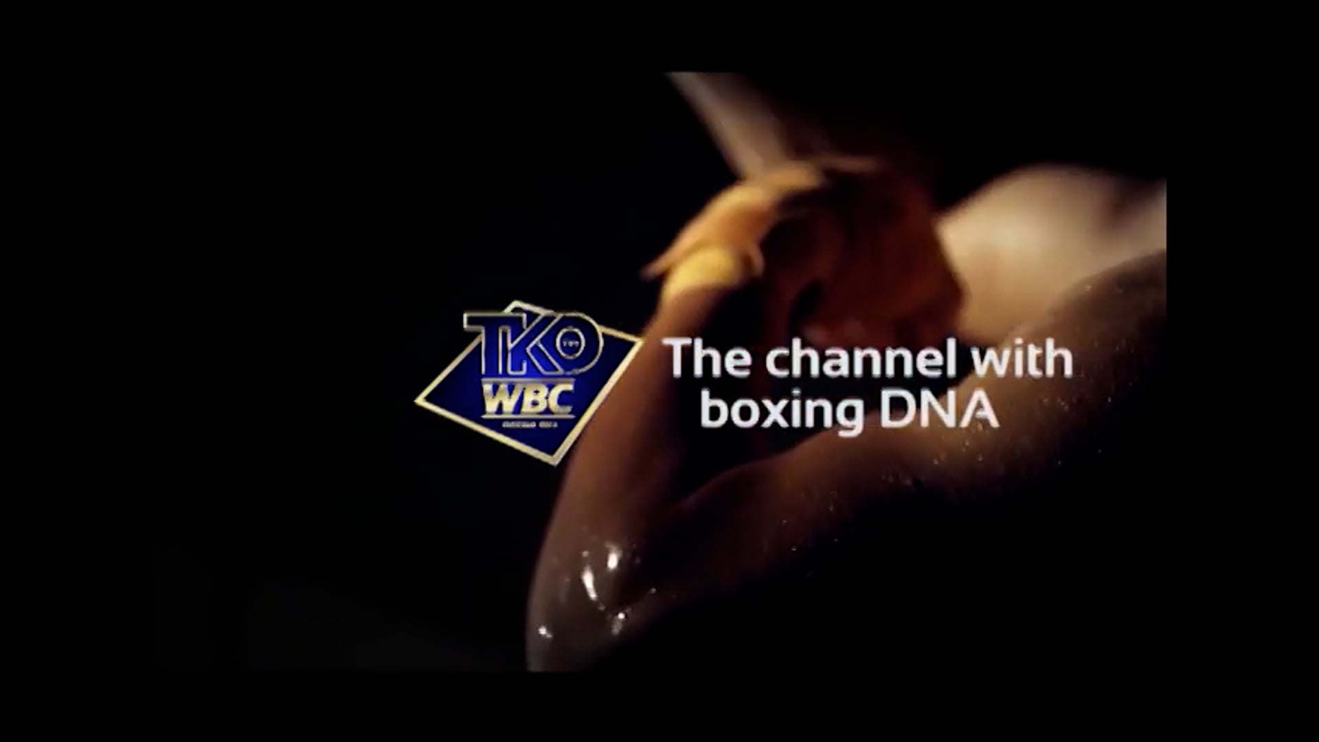 TKO WBC Boxeo Retro Maromero Paez