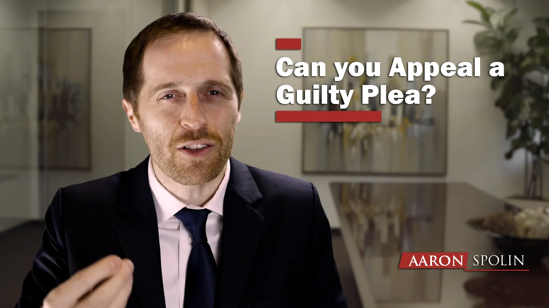 Can you appeal a guilty plea? on Vimeo