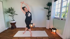 Related Embedded Video Item Thumbnail