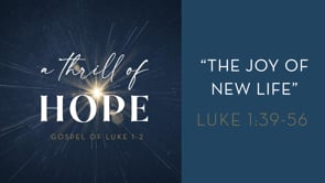 The Joy of New Life
