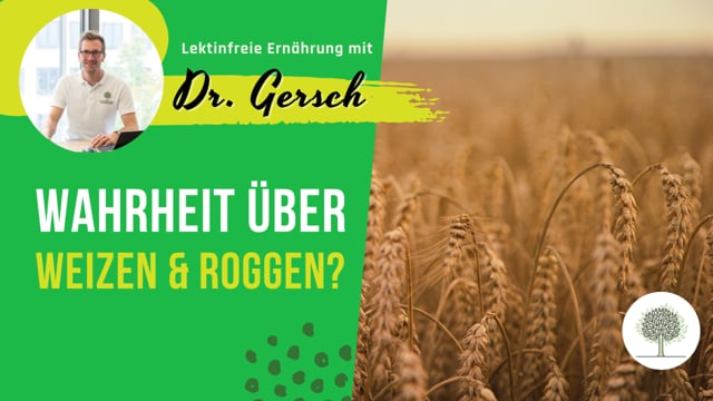 IgG-Bluttest mit Reaktion auf "nur" auf Weizen und Roggen - sollten Sie trotzdem lektinfrei leben?