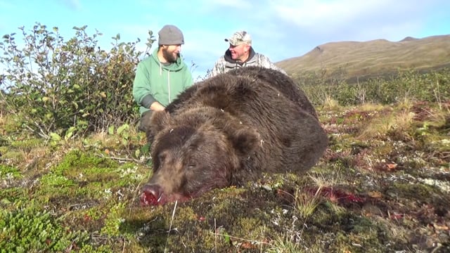 Alaska Brown Bear Hunt with Nathan