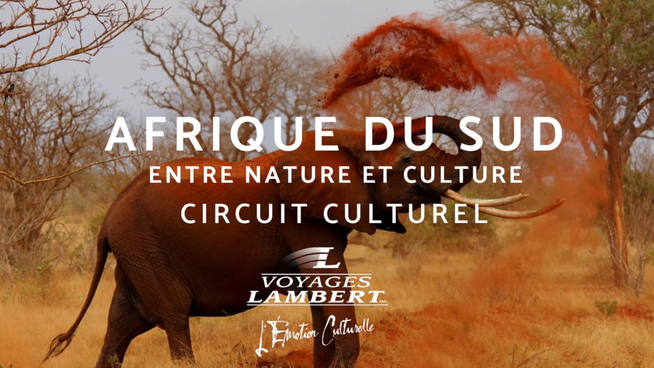 Capsule Afrique du Sud - Entre nature et culture